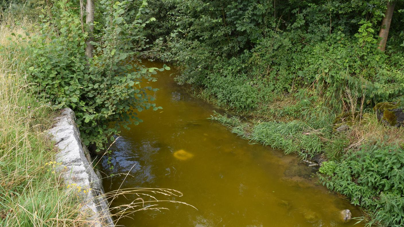 Il corso d'acqua inquinato