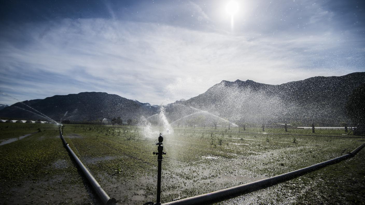 Il pompaggio dell'acqua dai fiumi è destinato soprattutto alla irrigazione delle colture agricole