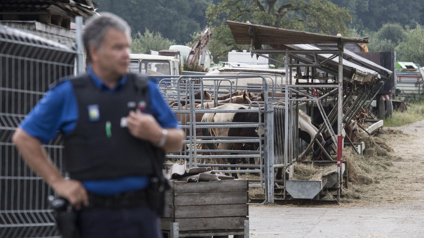 Situazione conosciuta da anni secondo un'associazione animalista