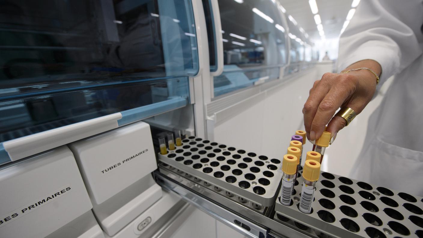 "Servono all'economia e alla ricerca scientifica"