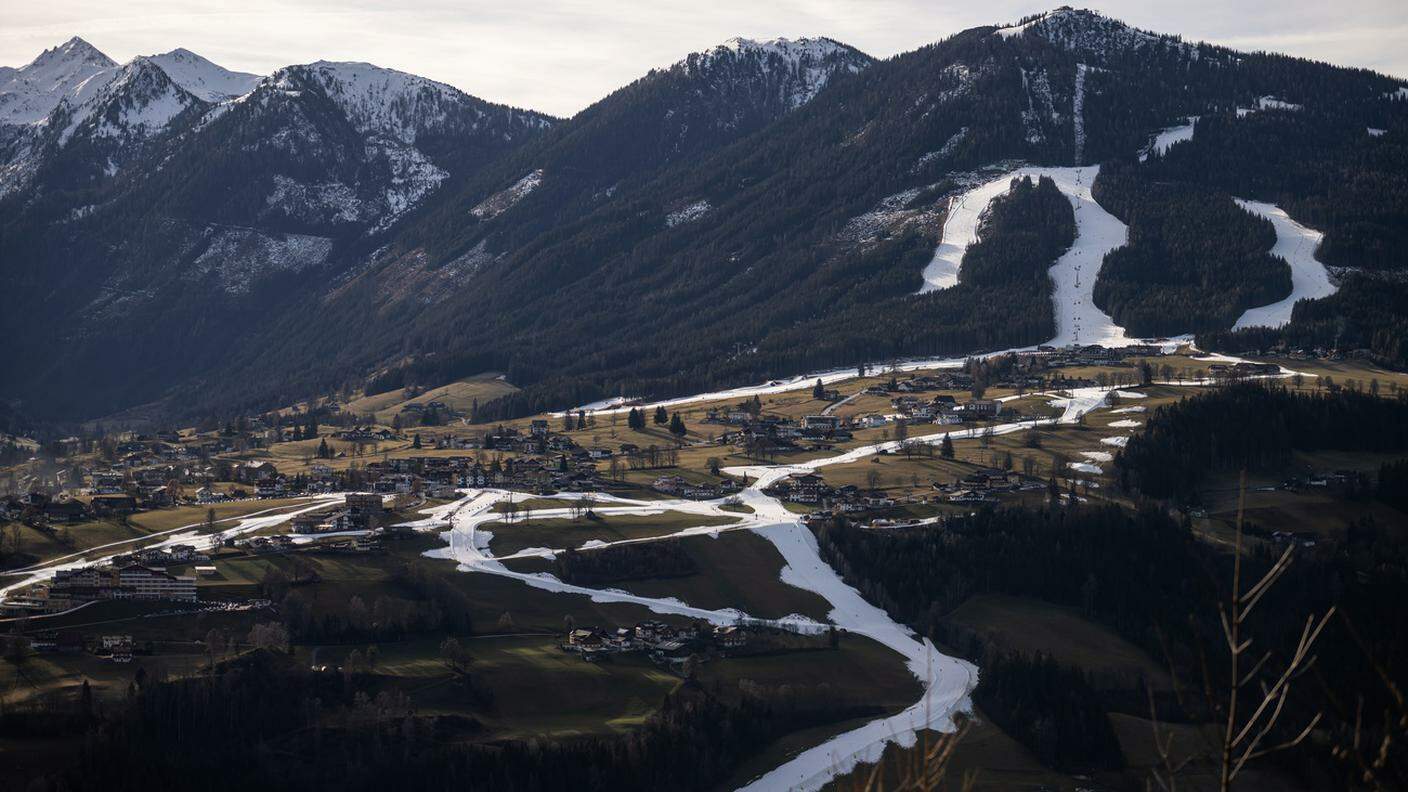 La vegetazione alpina è a rischio a causa dei cambiamenti climatici