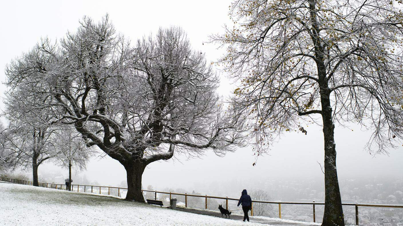 La prima neve dell'anno trasforma l'area intorno ai Drei Weieren (Tre laghetti) a San Gallo in un paesaggio invernale 