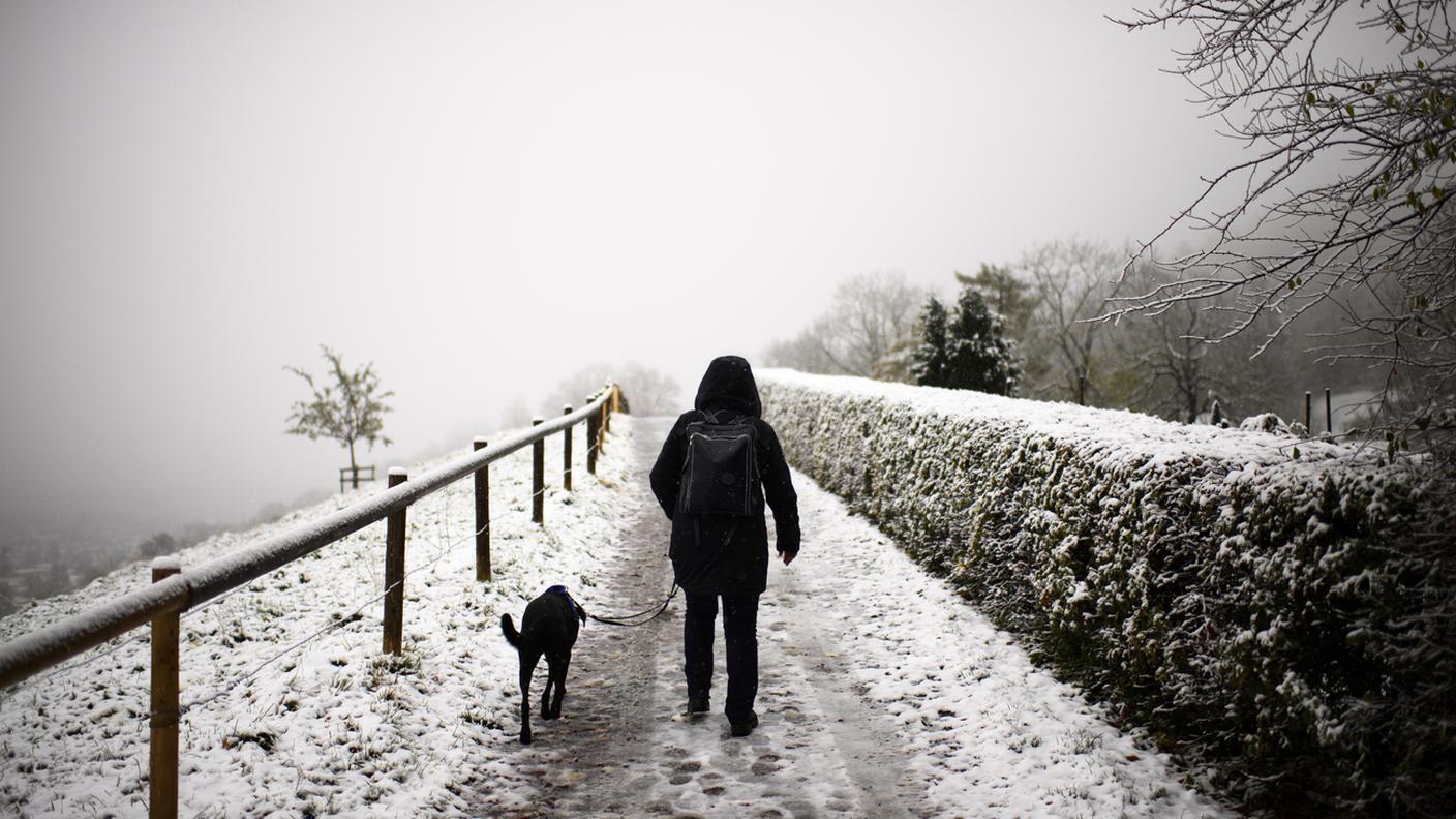 Passeggiate sotto la neve ai Drei Weieren (Tre laghetti) a San Gallo