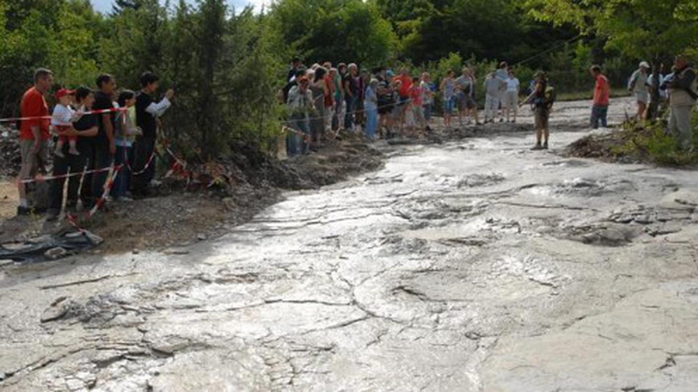 Le orme lasciate sul terreno