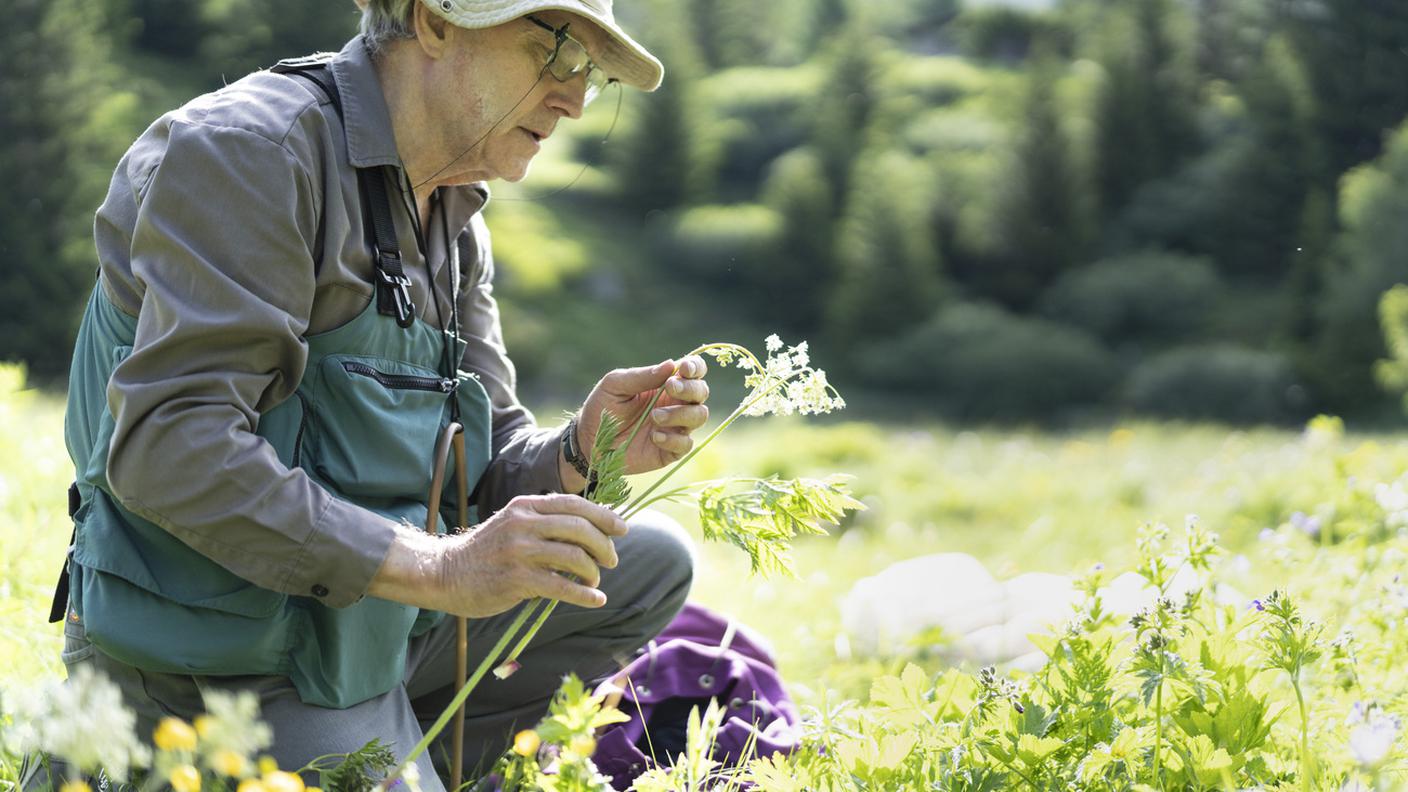 Biodiversità