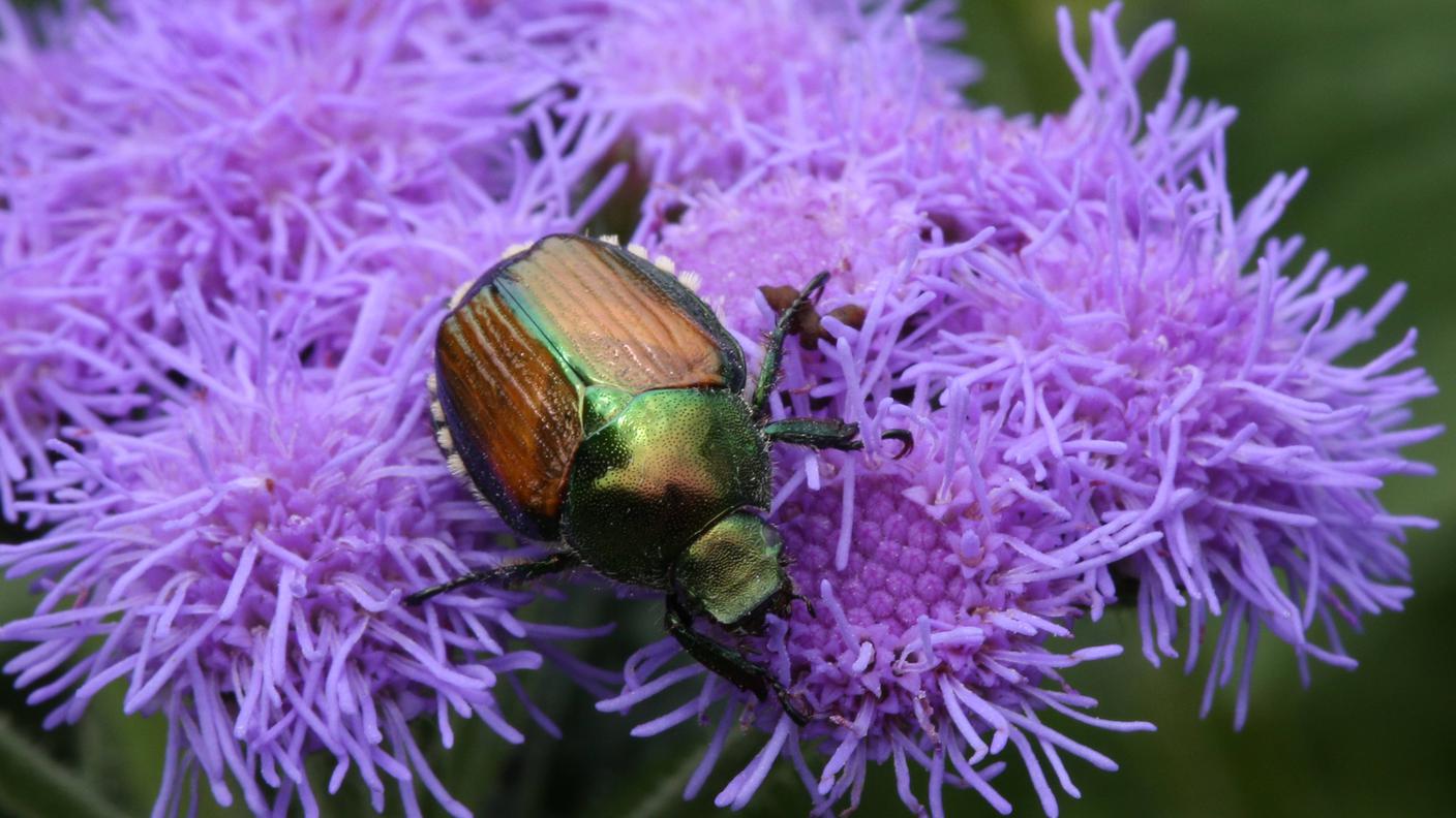 imago0301631122h.jpg