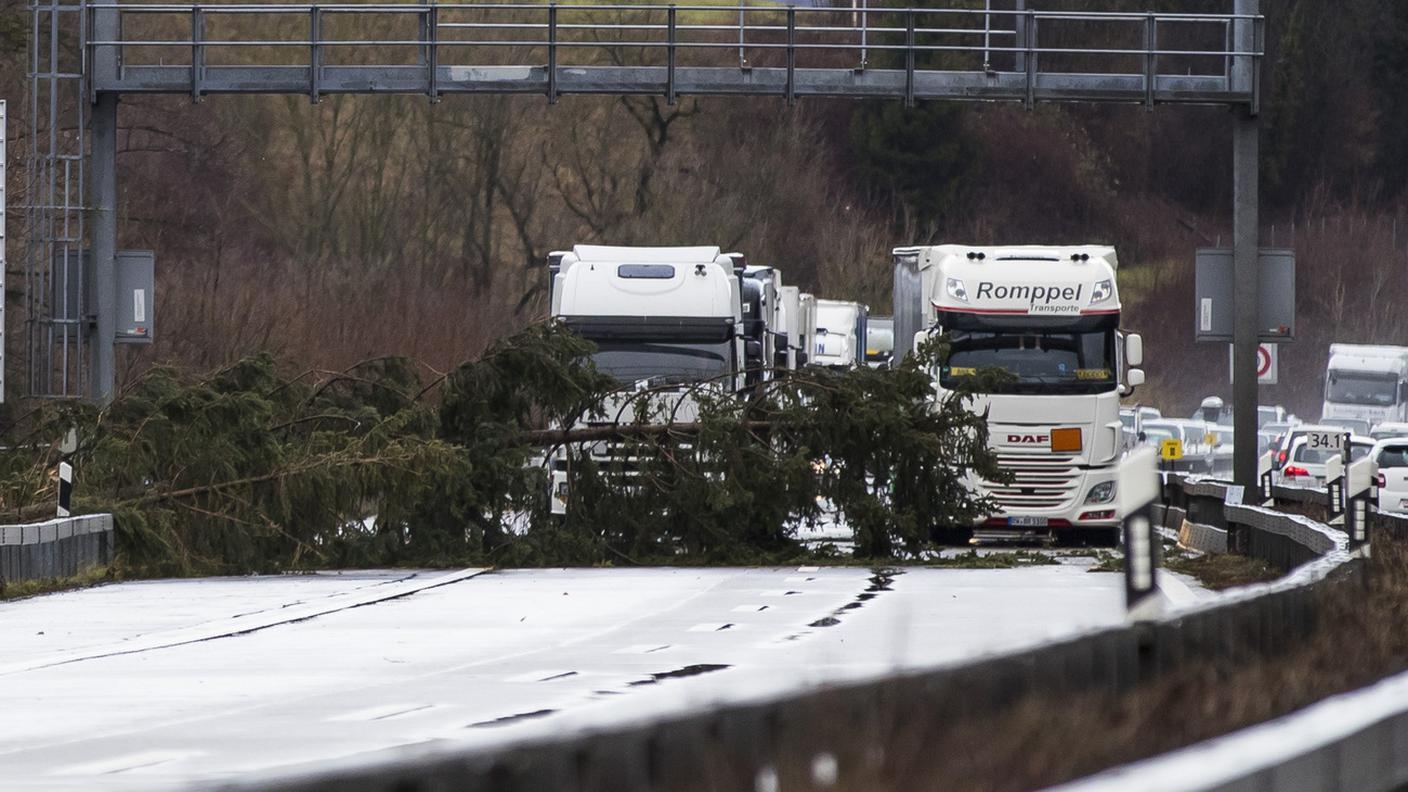 L'A1 bloccata dalla caduta di alcuni alberi a Wangen an der Aare