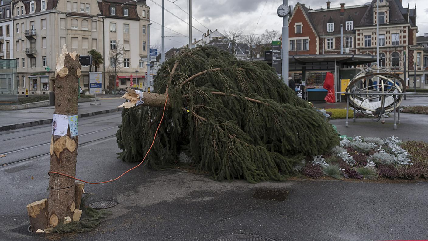 Alberi caduti a Basilea