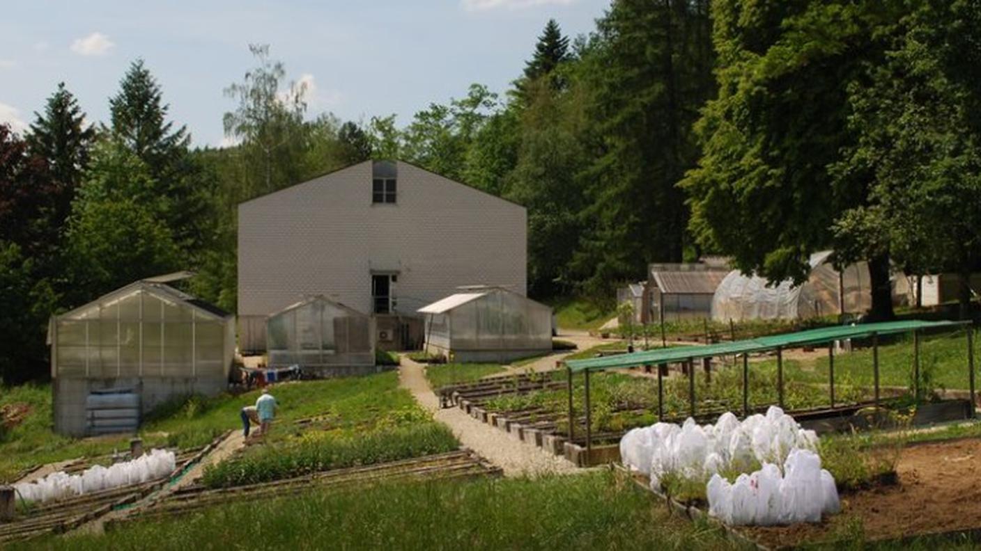 La sede del CABI a Delémont