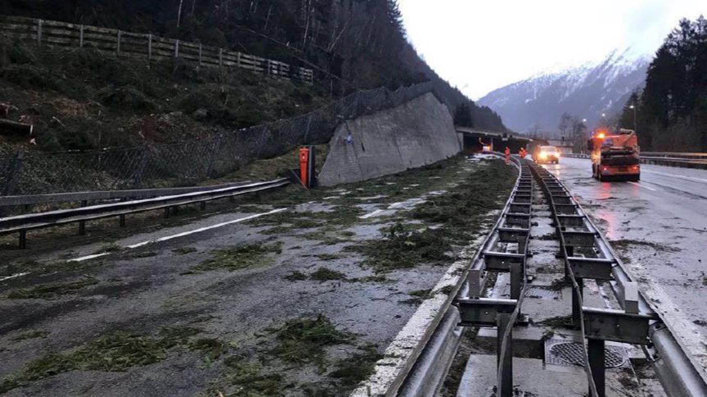 Al lavoro per liberare l'autostrada dai rami