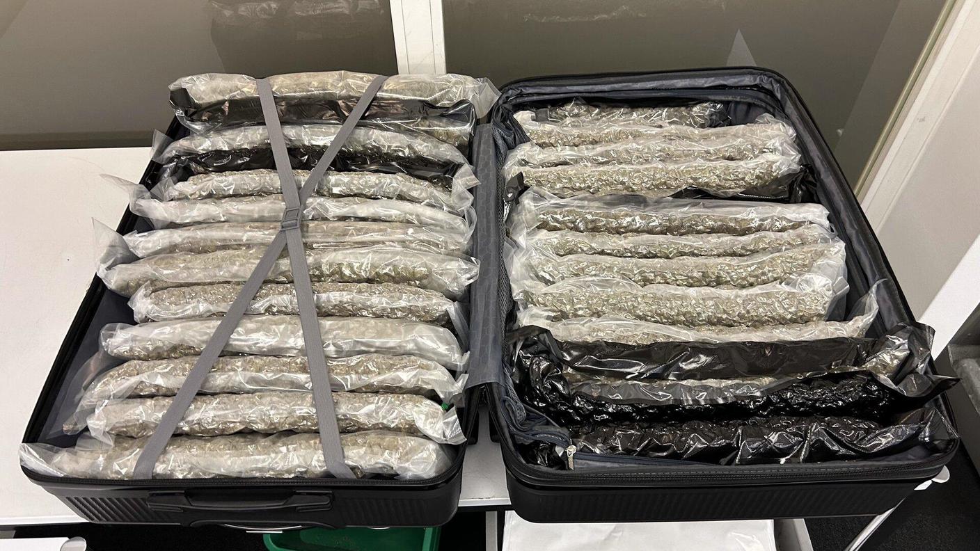 valigie piene di marijuana