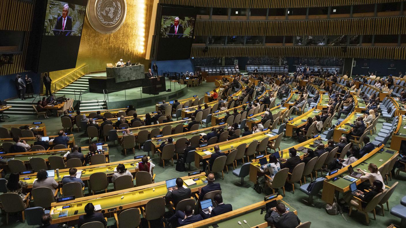onu assemblea