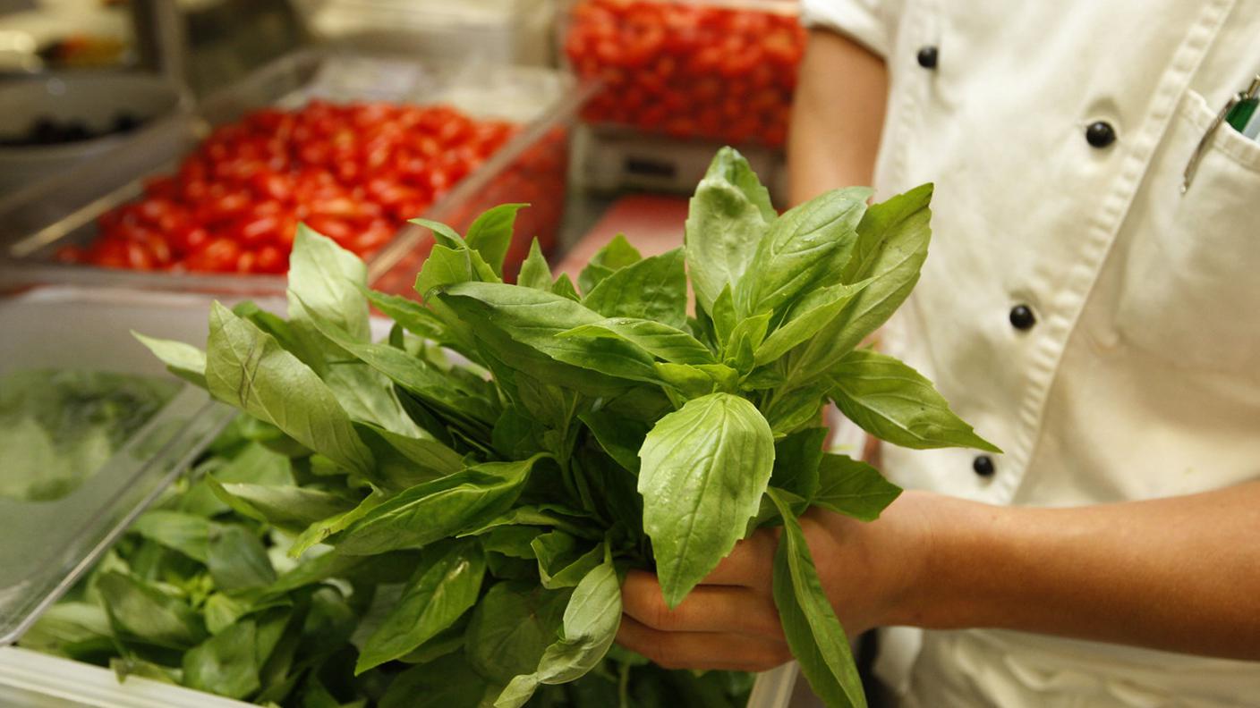 Un menu vegano disponibile, ogni giorno, nelle mense pubbliche: l'ipotesi su cui voteranno i cittadini di Basilea Città 