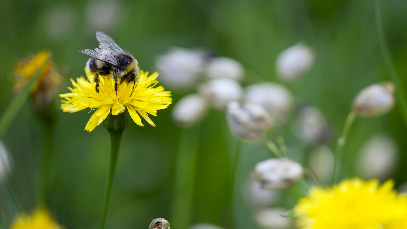 Più attenzione alla natura