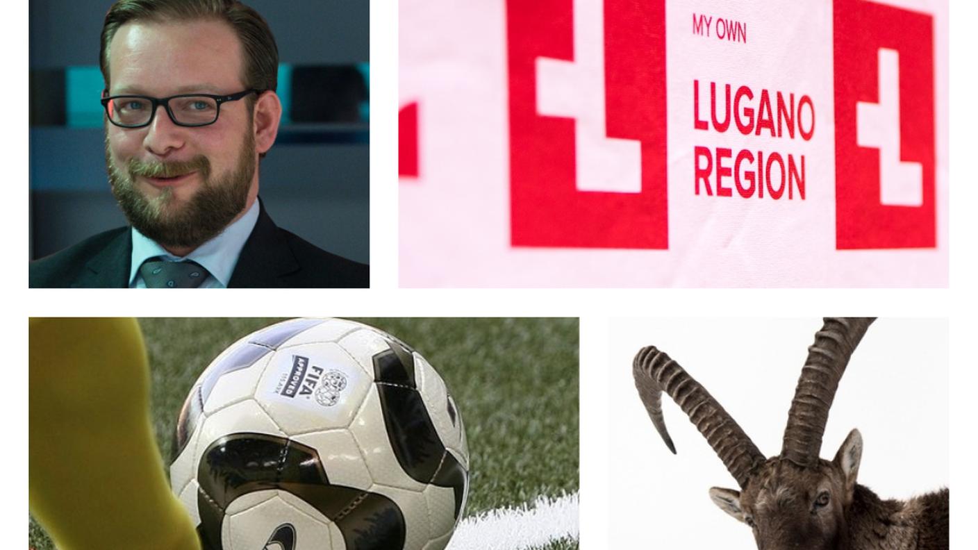 Alain Bühler, il logo di Lugano Turismo, l'erba sintetica dello Stade de Suisse e uno stambecco... senza zebra