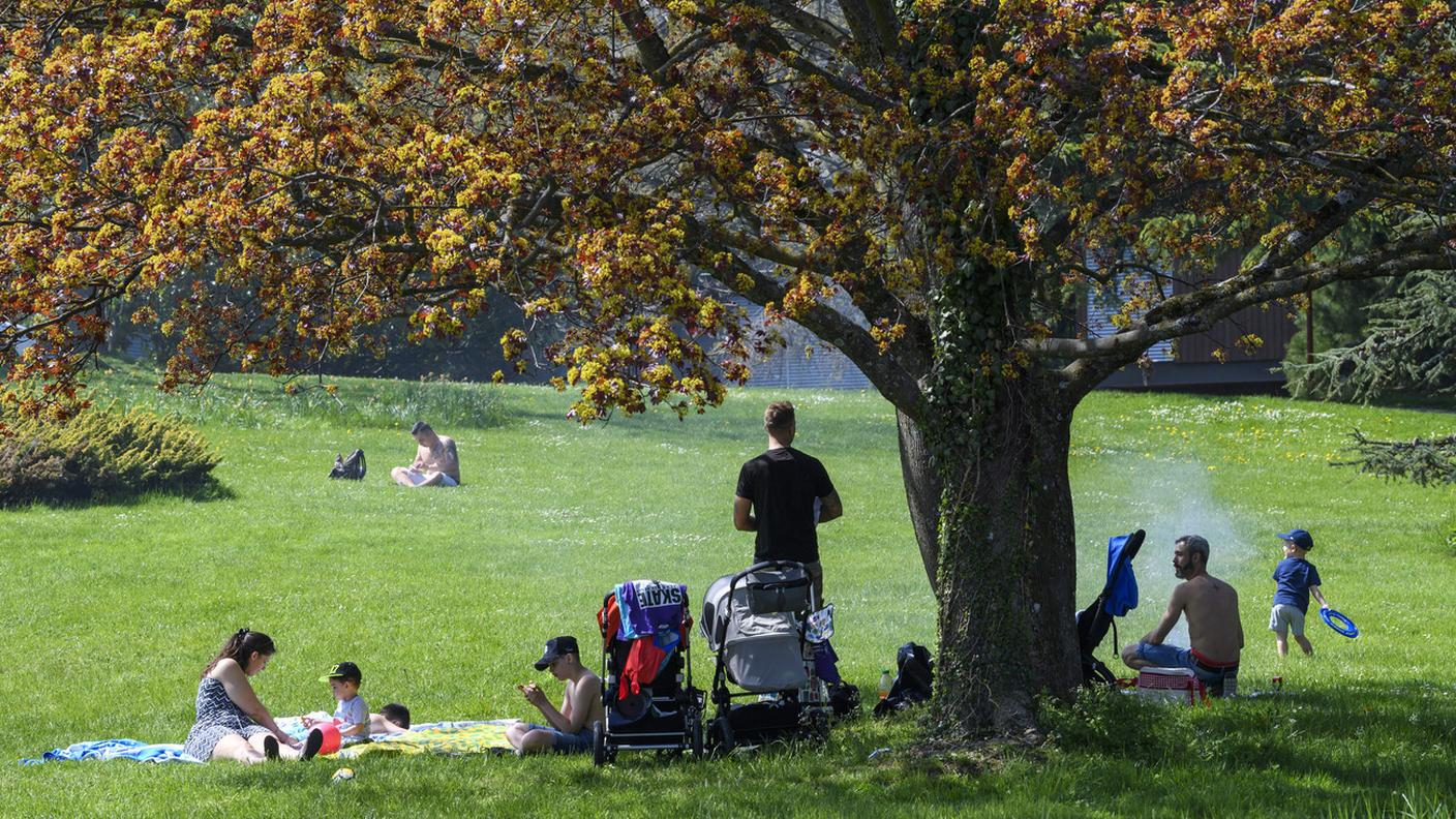 Il tempo ideale per un pic nic in famiglia