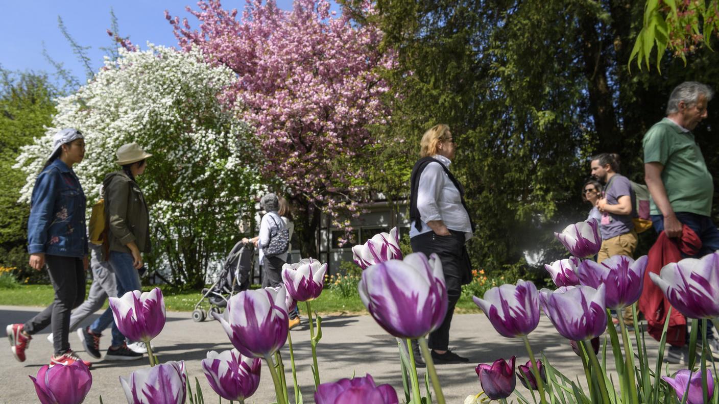 Una passeggiata al giardino botanico