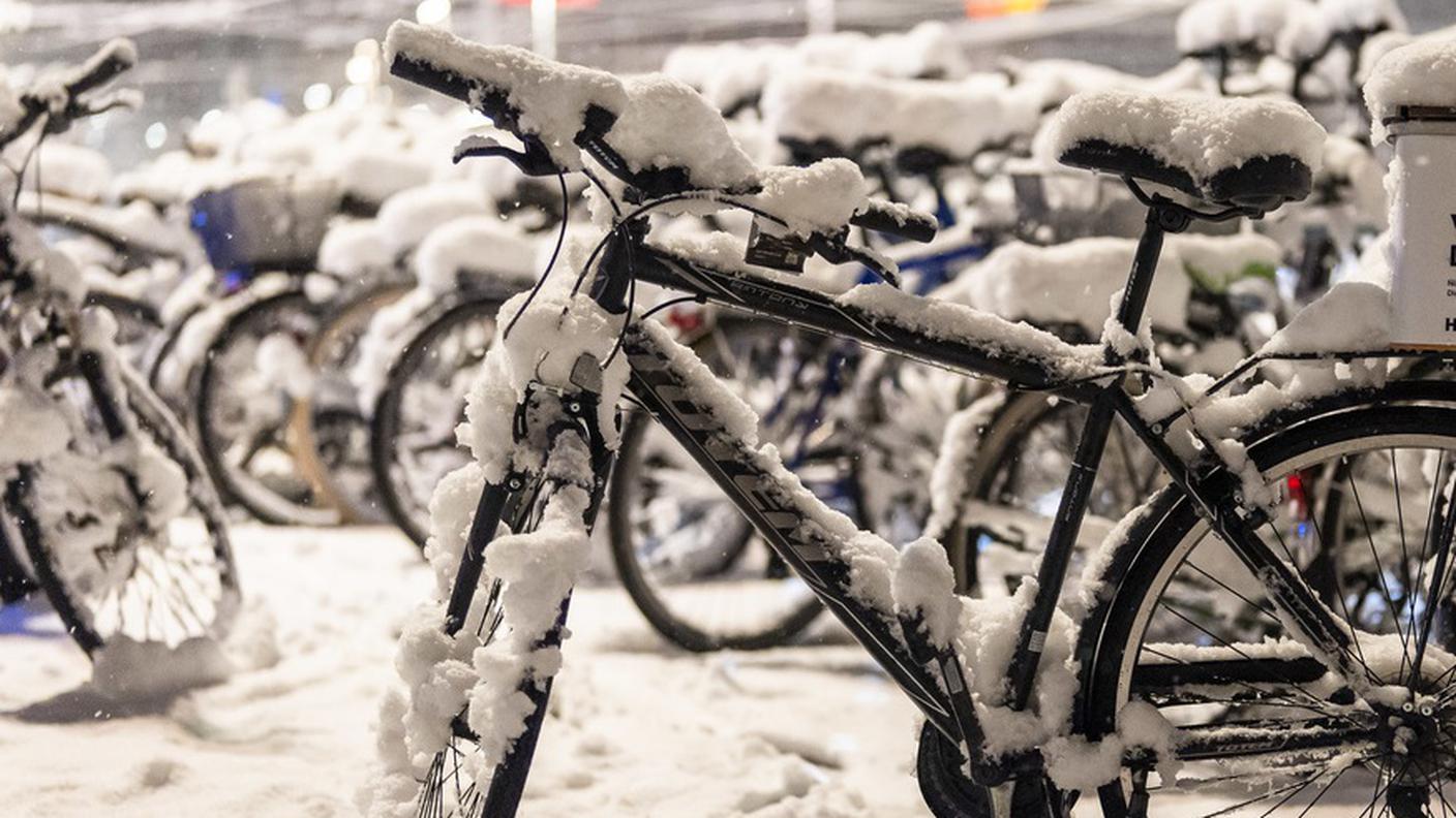 bici.jpg