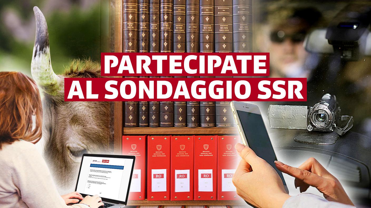 Dite la vostra...