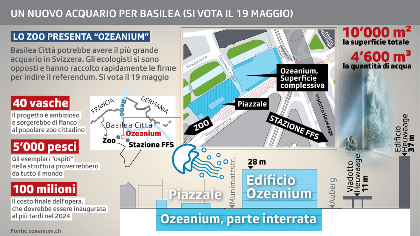 Un nuovo acquario per Basilea (si vota il 19 maggio)