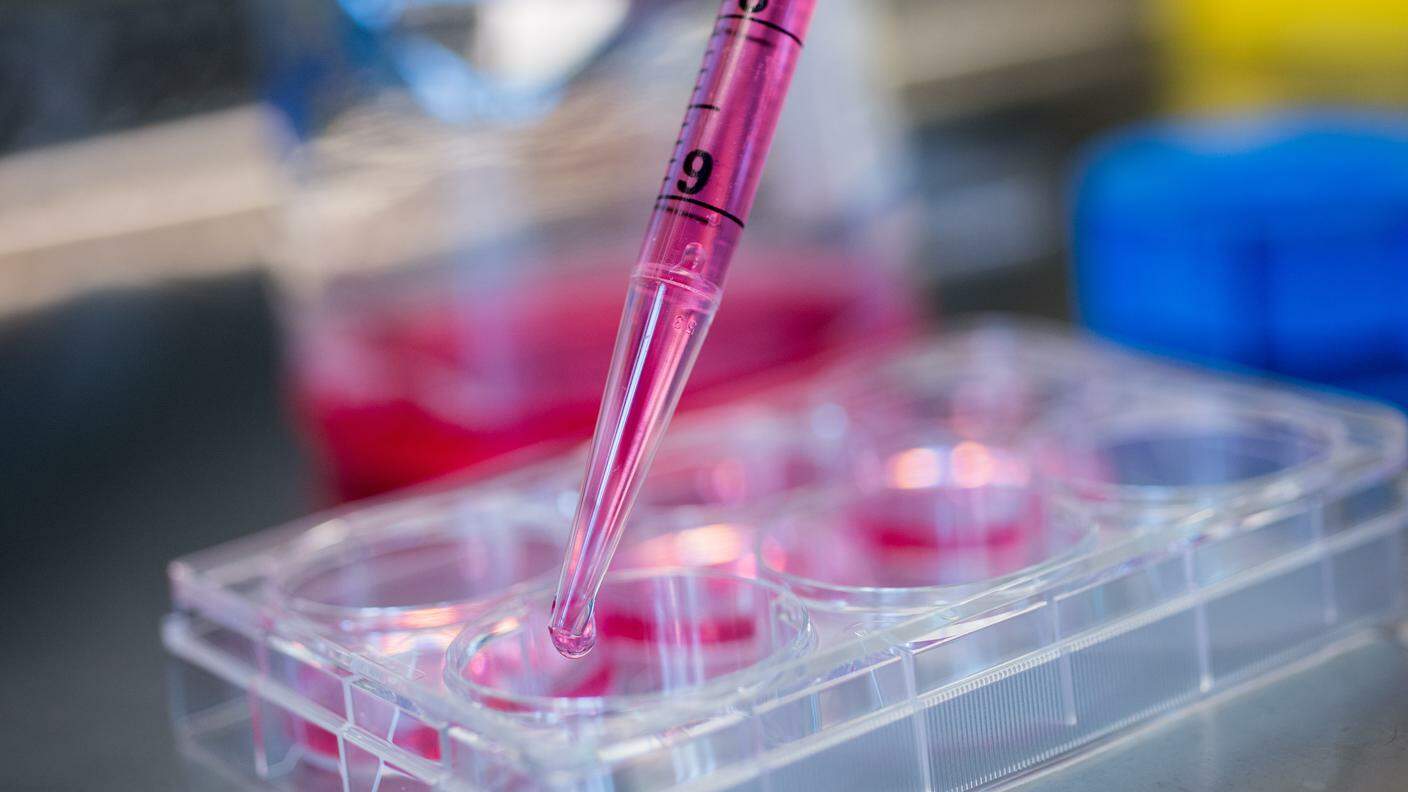 Lo studio apre nuovi scenari nella lotta contro i tumori