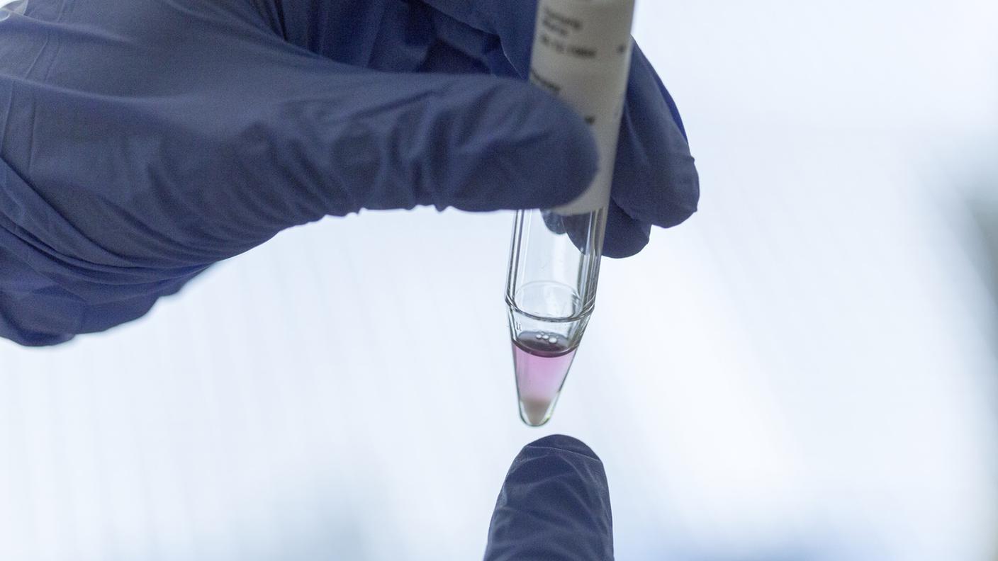 Qualità del seme, l'Ufficio di sanità vuol vederci chiaro