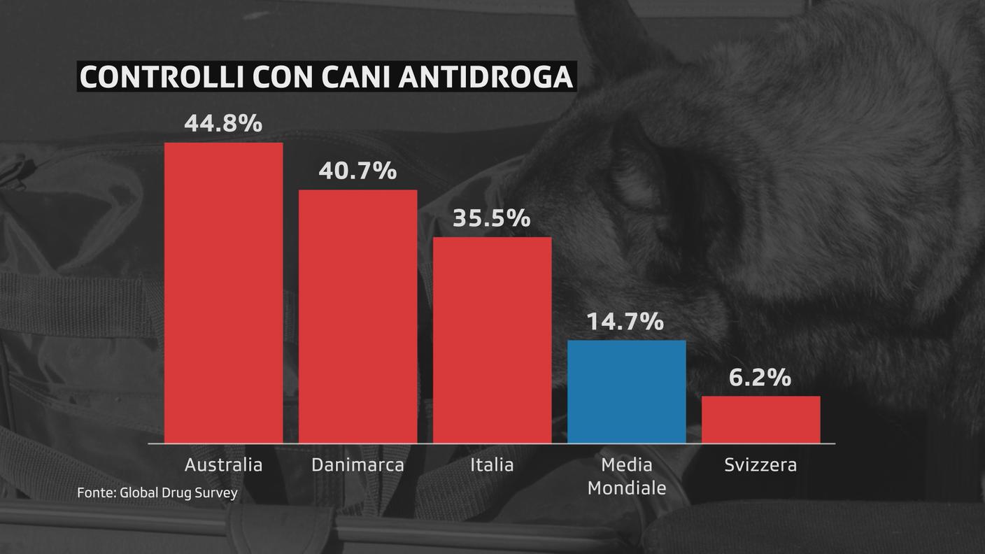 Raffronti fra alcuni Stati sul ricorso ai cani antidroga: il dato svizzero è decisamente inferiore alla media globale