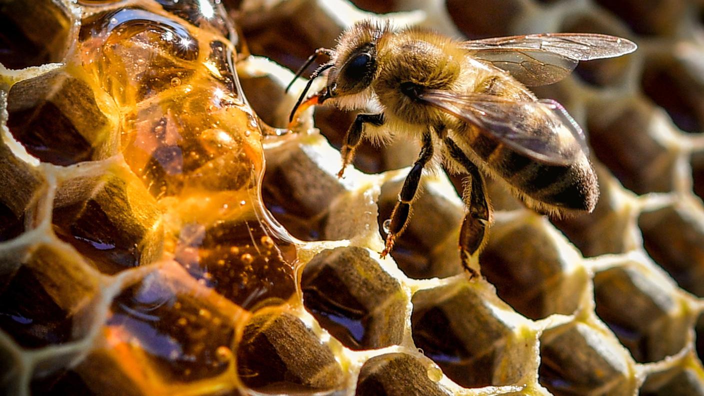 Alle piccole operaie è mancata la materia prima