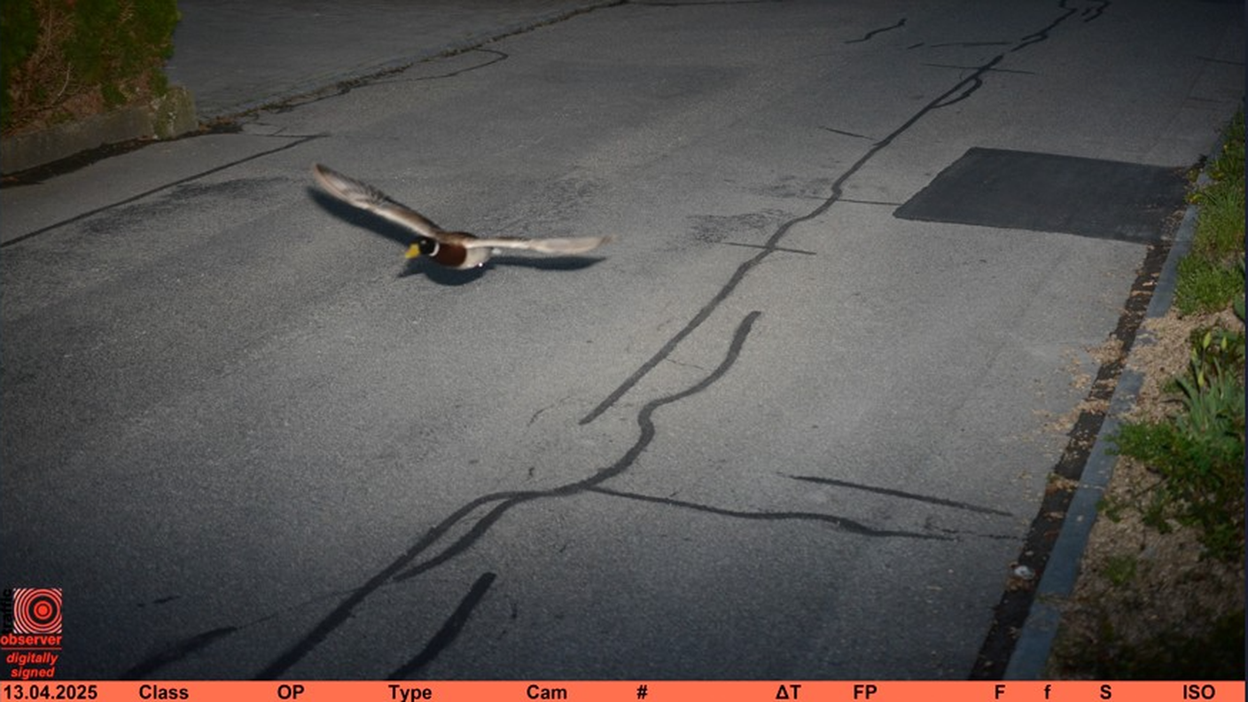 Immagine 2025-05-12 165322.png