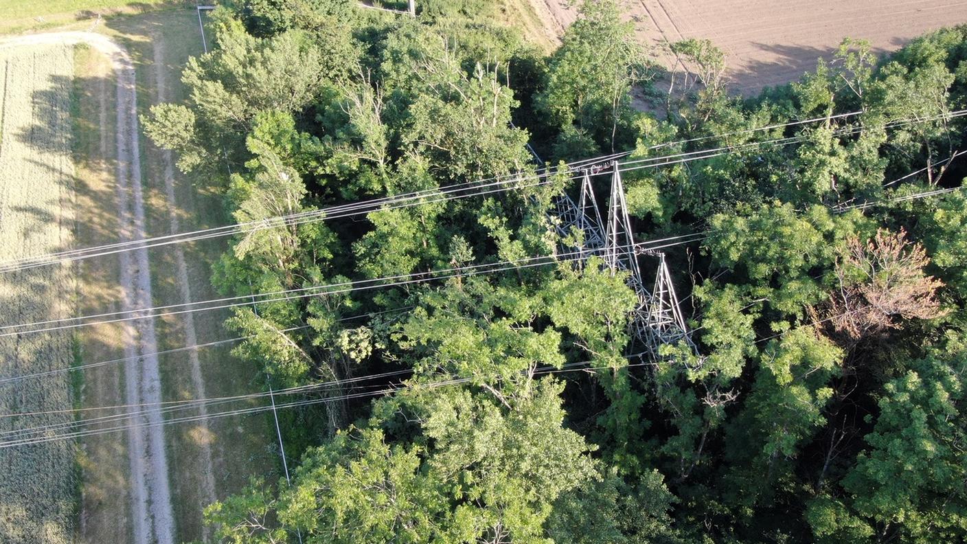 Un'immagine del pilone crollato, nei pressi dell'autostrada Losanna-Ginevra