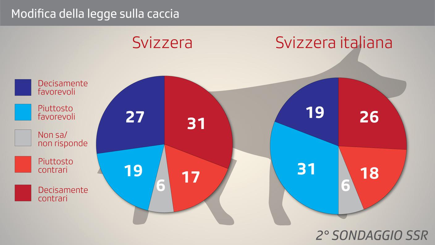 Il quadro delle tendenze sulla revisione di legge