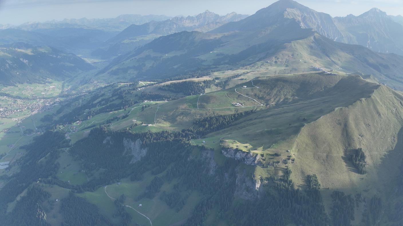 Lenk.jpg