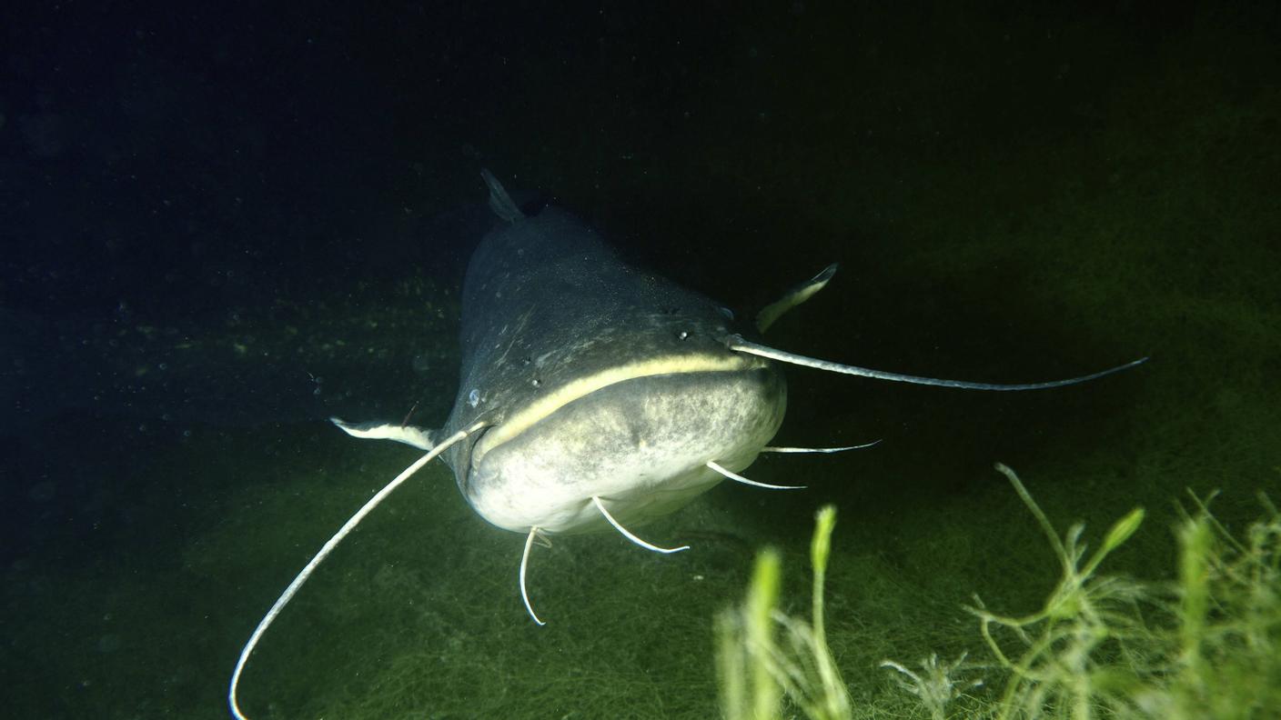 imago831070293.jpg