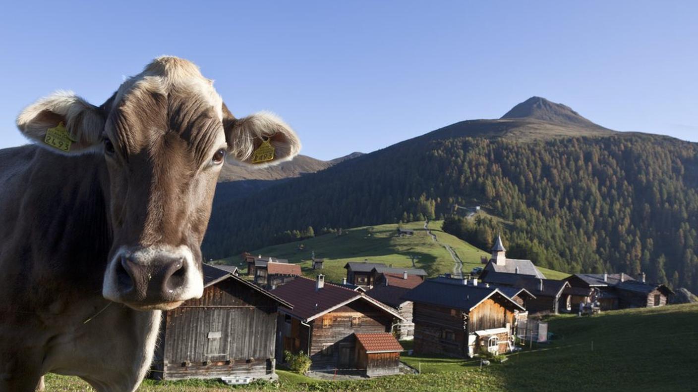 obermutten3 1 5 13 ky.JPG