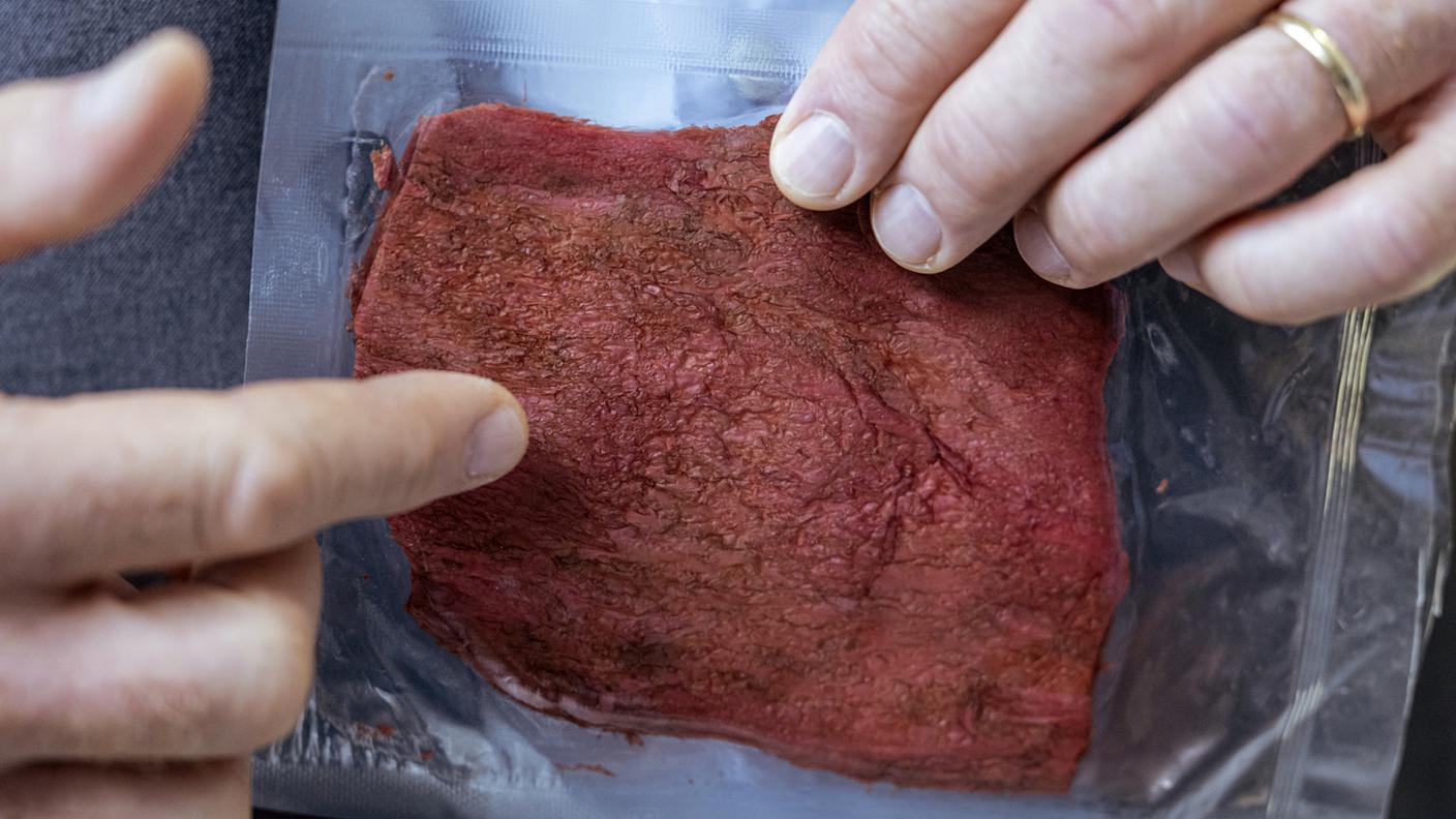 Carne sintetica.jpg