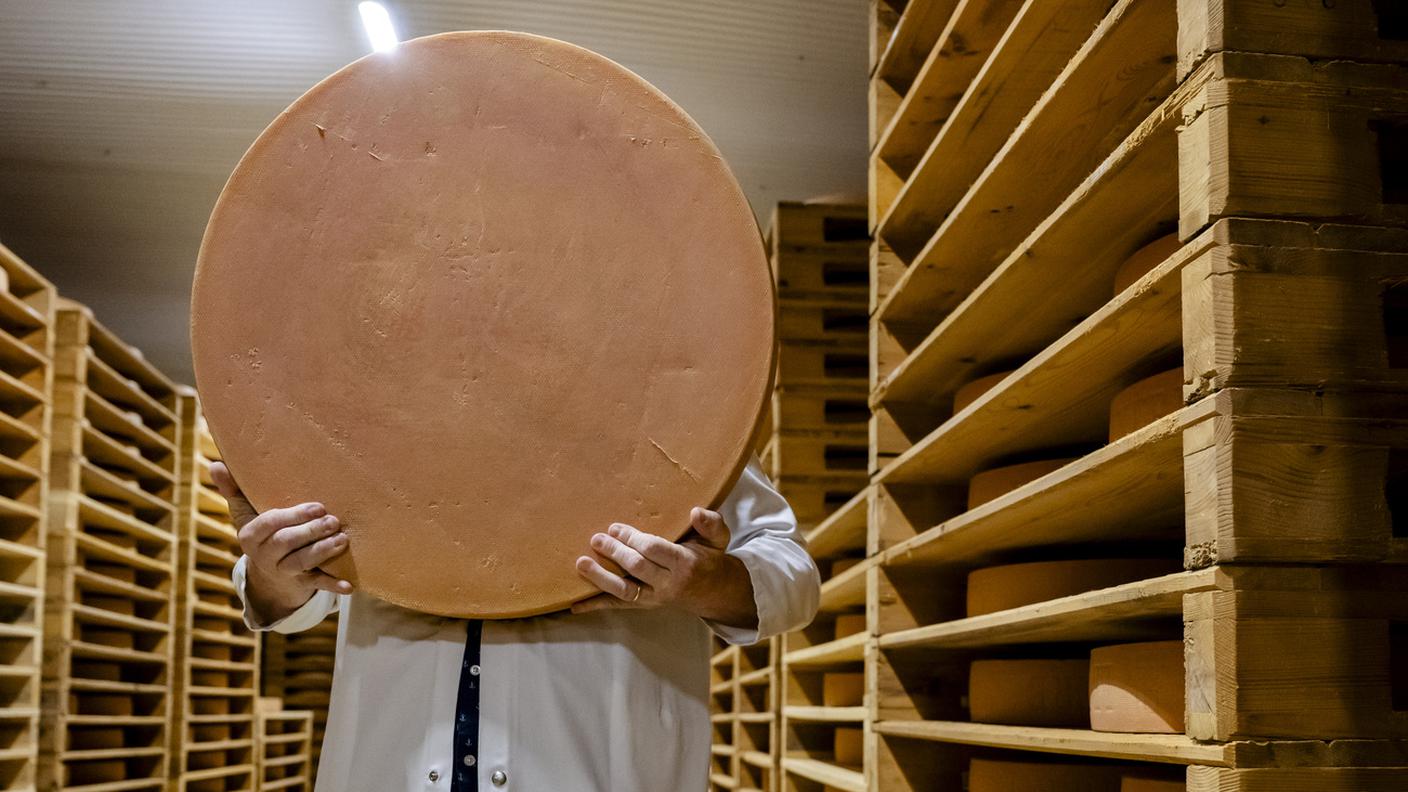 Dazi e concorrenza estera, per il re dei formaggi elvetici trovare la quadratura del cerchio è dura