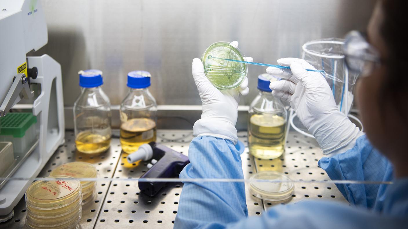 Preoccupazioni maggiori derivano dalle politiche statunitensi per abbassare i prezzi dei farmaci e dai massicci investimenti promessi dall'industria farmaceutica agli USA