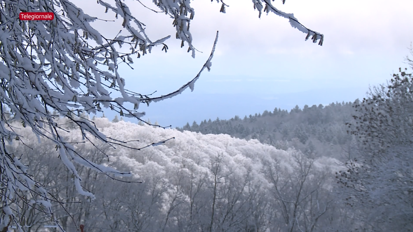 Le prime nevicate in Svizzera