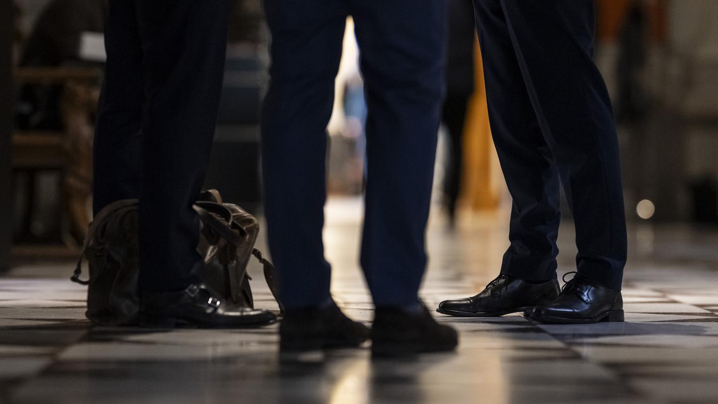 I redditi accessori di molti parlamentari restano nell'ombra