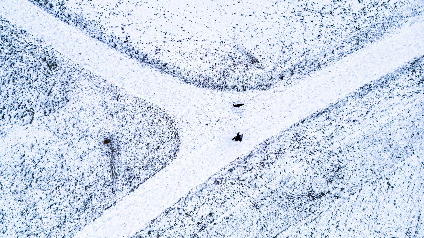 La campagna innevata del canton Zurigo