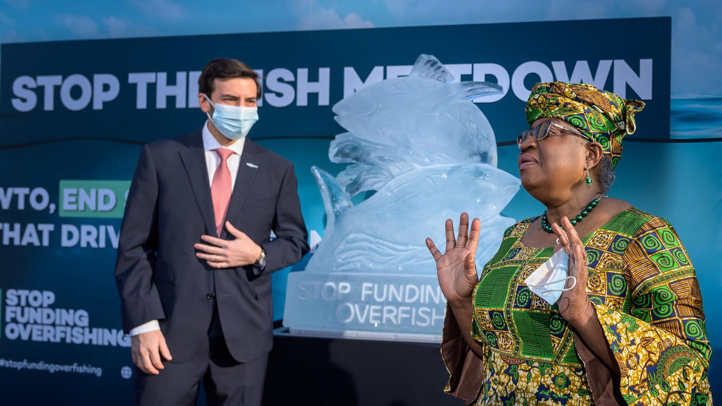 Ngozi Okonjo Iweala