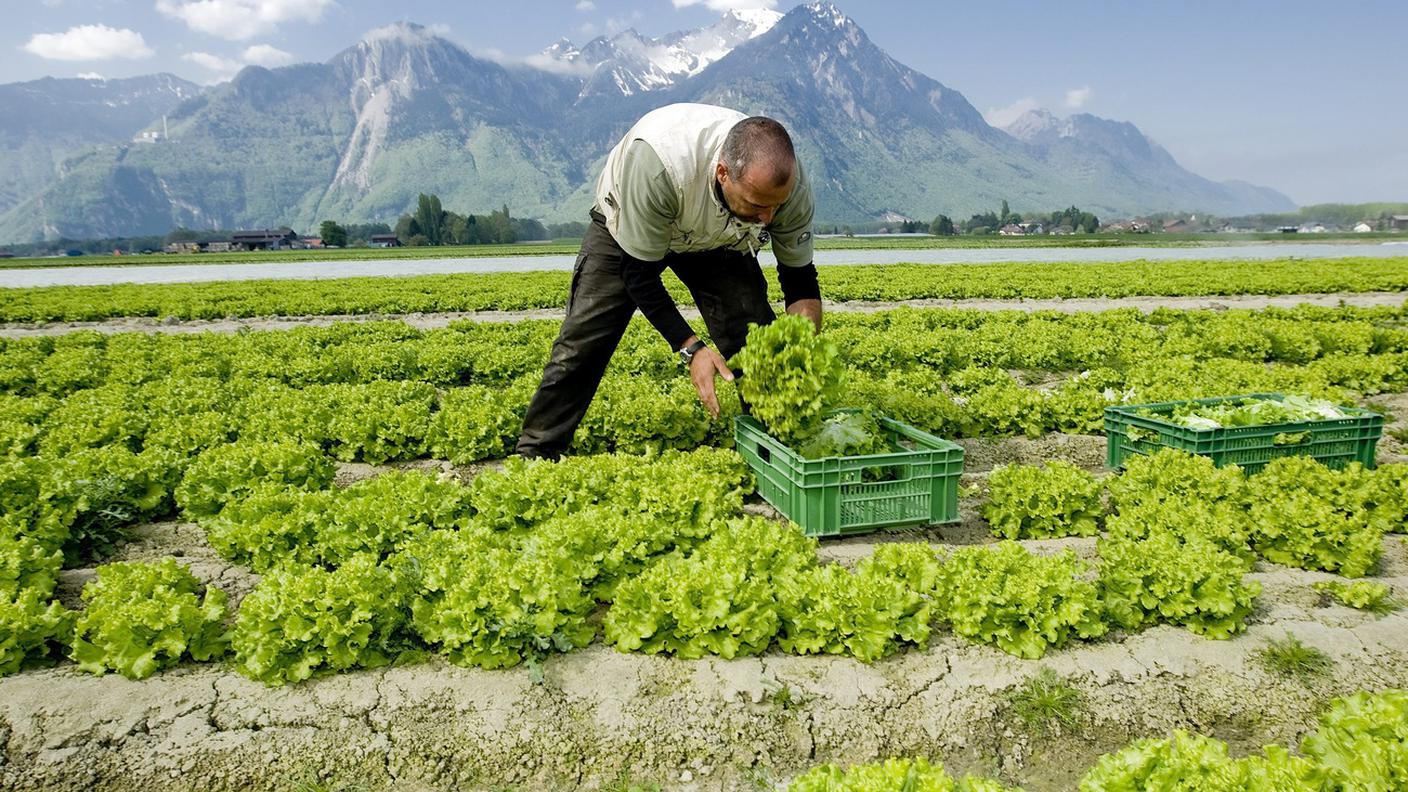 "Lo strumento è condizionato alla creazione di nuove attività con un impatto sostenibile"