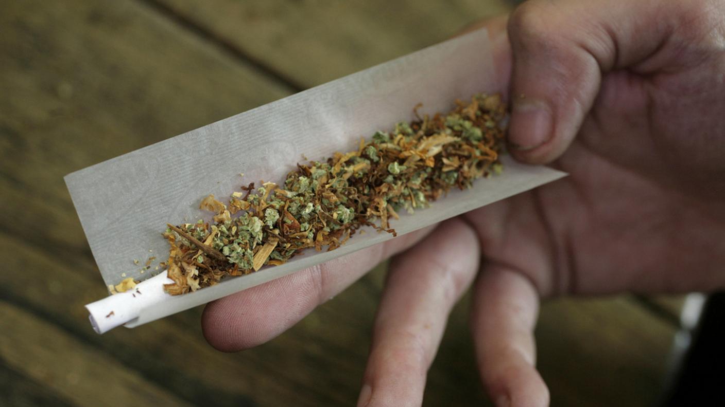 cannabis, 20.9.2012, ky.jpg