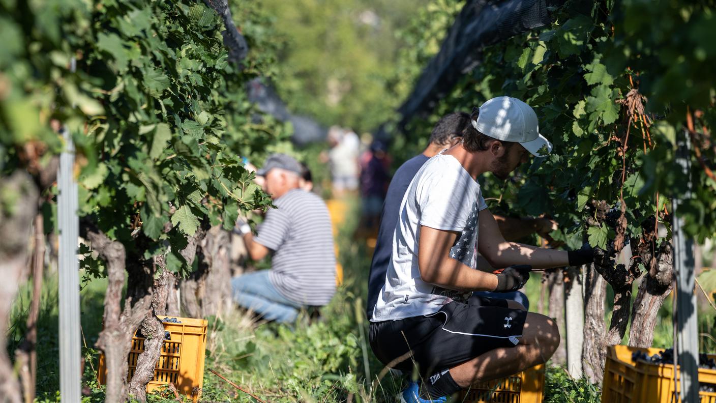 Settore in difficoltà