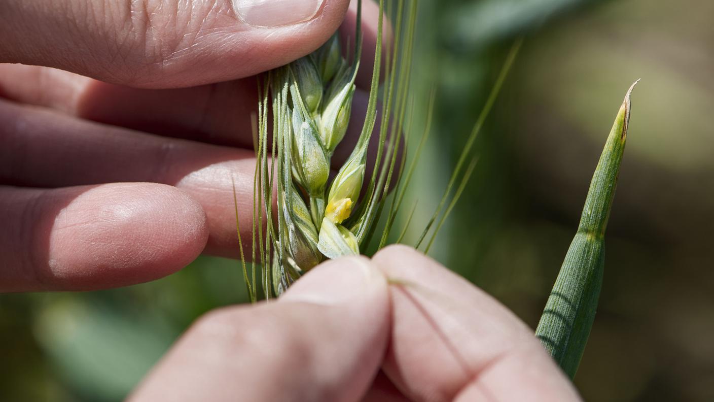 Il consumatore va informato pienamente e deve poter scegliere, secondo i promotori