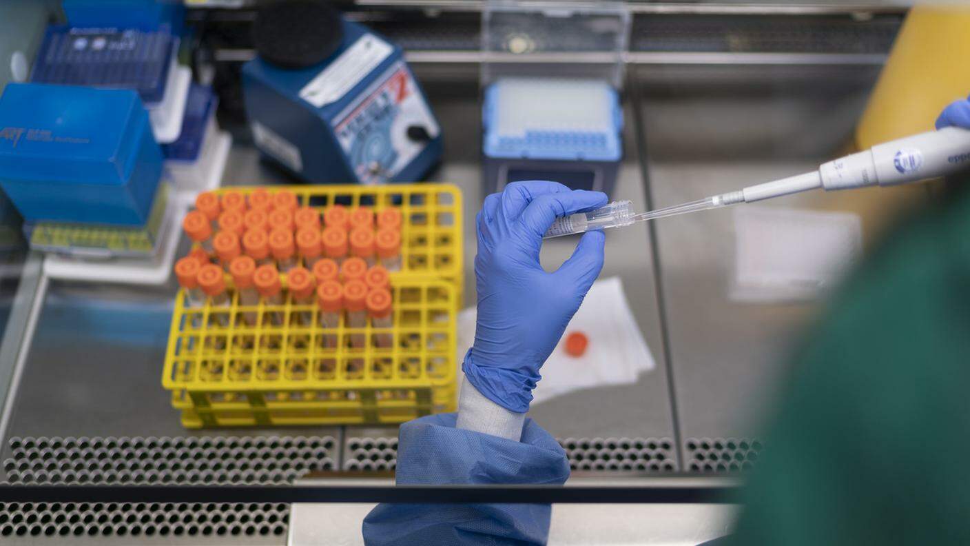 Test PCR verificati in un laboratorio a Zurigo