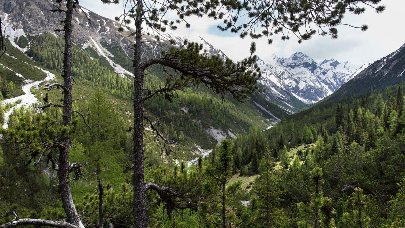 Rientrano nel prestigioso standard, come il Parco Nazionale nei Grigioni, 59 riserve naturali di 16 paesi