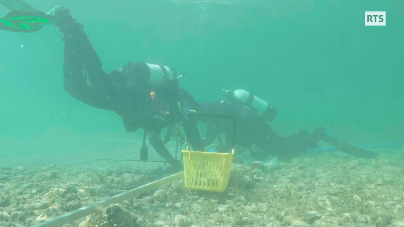 Al lavoro sul fondale del lago