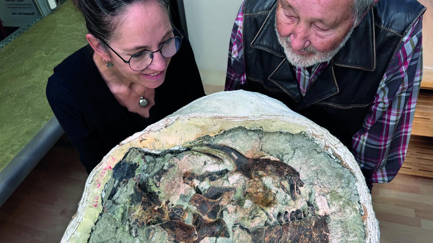 I ricercatori del Museo dei dinosauri di Aathal