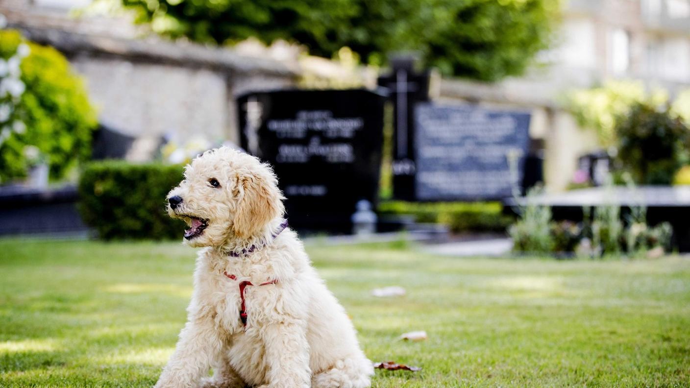 La novità nel nuovo regolamento cimiteriale di Berna